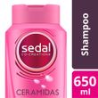Shampoo-sedal-Ceramidas-650-Ml-_1