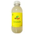 Limonada-Gergal-500-Ml-_1