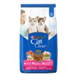 Alimento-para-Gatos-Cat-Chow-Gatitos-1-Kg-_1