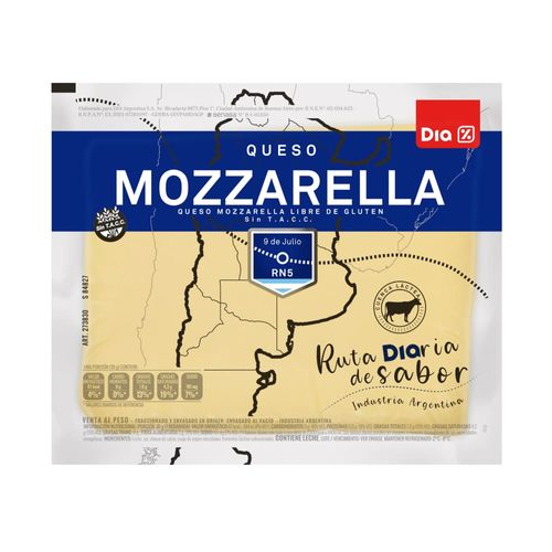 Queso-Mozzarella-DIA-300-Gr-_1