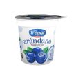 Yogur-Entero-Tregar-con-Arandanos-160-Gr-_1
