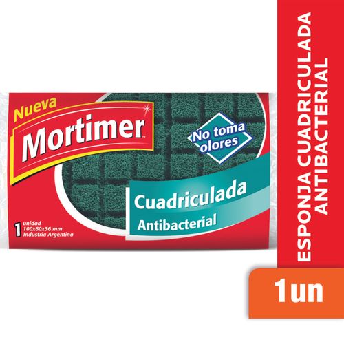 Esponja-Antibacterial-Mortimer-1-Un-_1