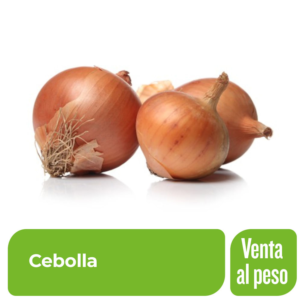 Cebolla Comercial en bolsa malla x Kg.