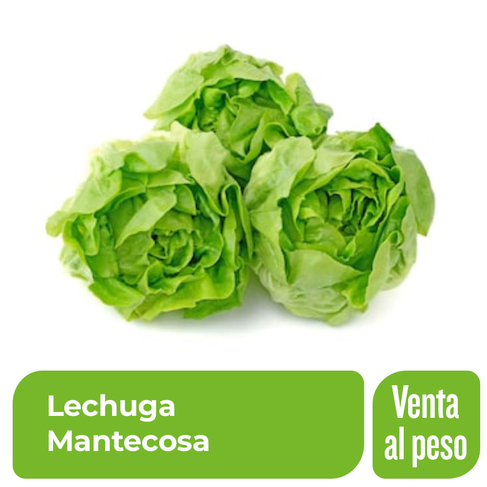 Lechuga Mantecosa x Kg.
