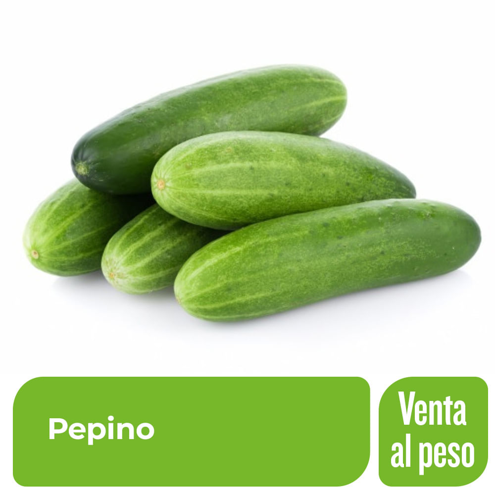 Pepino x Kg.